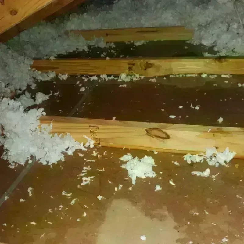 Attic Water Damage in Fallon, NV