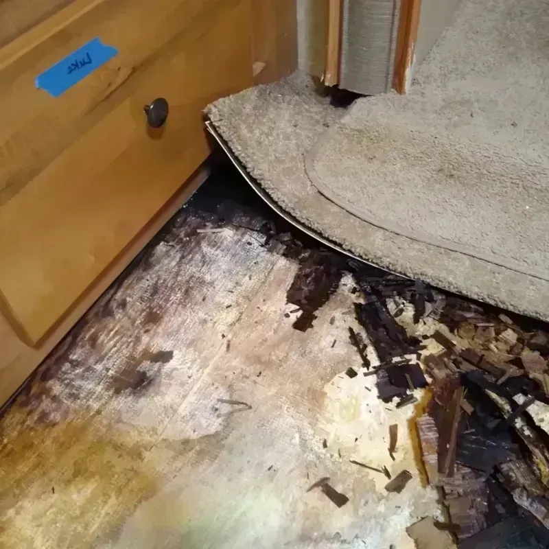 Wood Floor Water Damage in Fallon, NV